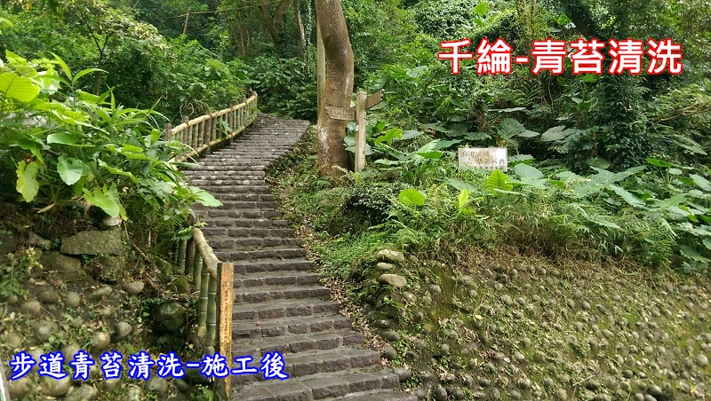 千綸-步道青苔清洗